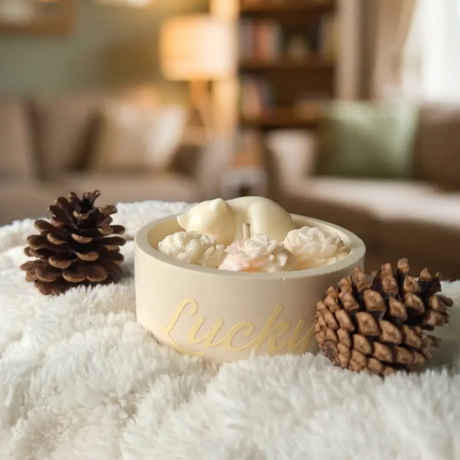 Inscription lucky sur pot beige en jesmonite
Couverture fluffy
Cadeau en souvenir d'un chat
Arriere plan salon cosy peu de lumiére
Premier plan bougie chat et pommes de pin