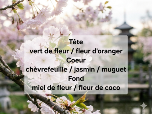 Japon fleur de sakura bougie de printemps