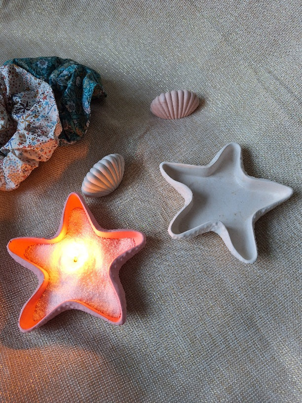 Etoile de mer en jesmonite 