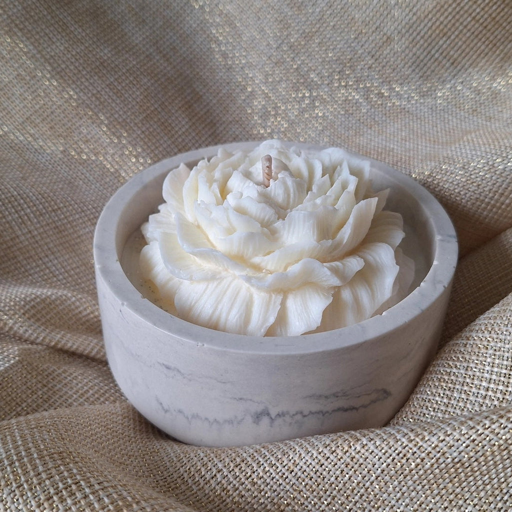Pivoine pot gris marbré