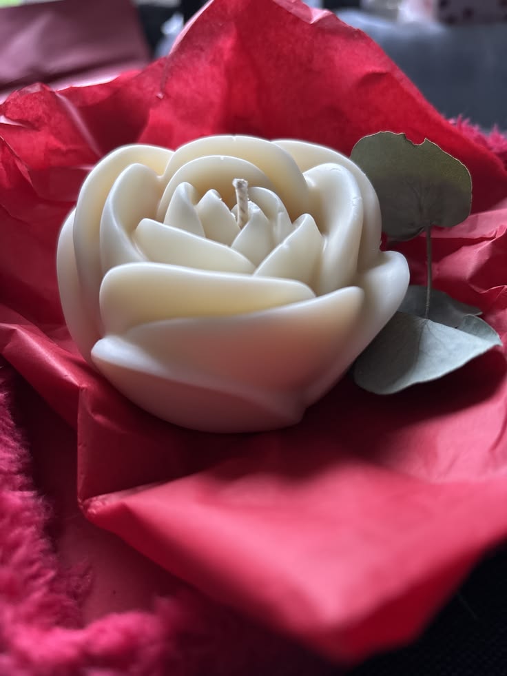 Mariage baptême anniversaire ou une invitation à diner. Offrez cette création artisanale intemporelle
Rose cire vegetale sur fond papier de soie rouge et feuille eucalyptus séchée