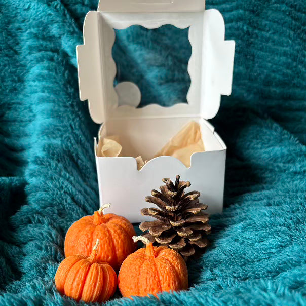 bougie invité potiron orange sur barquette en polypropylene pour deco de table automne 
